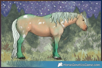 Horse Color:Watercolor White Spotted Silver Brown Dun