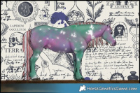 Horse Color:Painted Watercolor White Spotted Silver Bay 