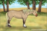 Horse Color:Painted White Spotted Silver Brown Dun