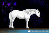Horse Color:Watercolor White Spotted Silver Brown Sabino Appaloosa 