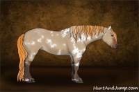 Horse Color:Painted White Spotted Silver Bay Dun 