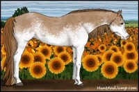 Horse Color:White Spotted Red Roan 