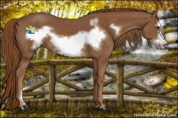 Horse Color:Chestnut Frame