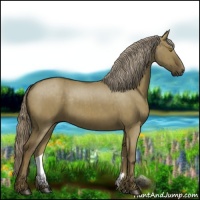 Horse Color:Chocolate Palomino Dun Sabino Brindle