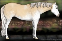 Horse Color:White Spotted Silver Sable Champagne Dun Splash 