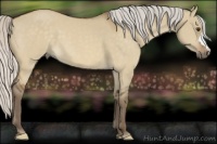 Horse Color:Silver Buckskin Dun 