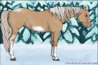 Horse Color:Silver Bay Dun Sabino Tobiano Frame Rabicano