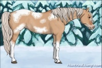 Horse Color:Silver Bay Dun Sabino Tobiano Frame Rabicano 