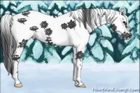 Horse Color:White Spotted Black Splash Tobiano 
