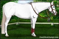 Horse Color:Liver Chestnut Sabino Splash Near Fewspot