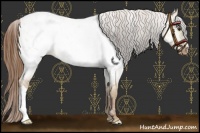 Horse Color:Red Dun Roan Near Leopard 