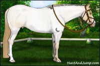 Horse Color:Red Dun Pearl 
