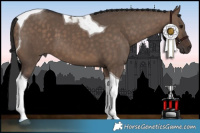 Horse Color:Brown Dun Tobiano 
