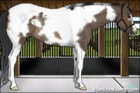 Horse Color:Brown Dun Tobiano Frame Rabicano