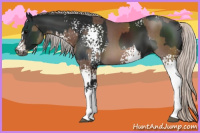 Horse Color:Gray White Spotted Black  and White Spotted Silver Black 