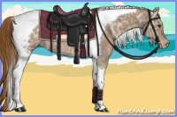 Horse Color:Chestnut Ice Tobiano Appaloosa Rabicano 