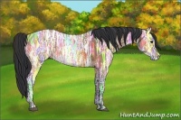 Horse Color:Bay Ice