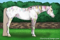 Horse Color:Silver Black Ice Sabino Frame Blanket