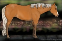 Horse Color:Silver Bay