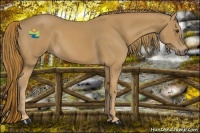 Horse Color:Chestnut Sabino