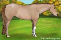 Horse Color:Brown Pearl 