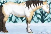 Horse Color:Buckskin Roan Dun Frame 
