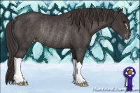Horse Color:Smoky Black Appaloosa Rabicano 