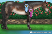 Horse Color:Brown  and Brown 