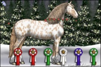 Horse Color:Chestnut Pearl Sabino Appaloosa Rabicano 