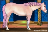 Horse Color:Watercolor Bay Roan Onyx Rabicano 