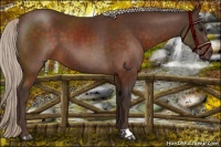 Horse Color:Silver Brown 
