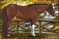 Horse Color:Chocolate Brown 