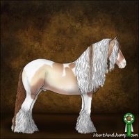 Horse Color:Brown Pearl Onyx Sabino Tobiano