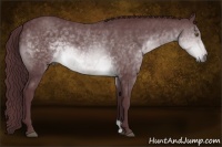 Horse Color:Chocolate Brown Chinchilla 