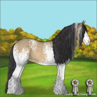 Horse Color:White Spotted Brown Dun Rabicano