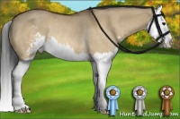 Horse Color:Bay Dun Sabino Splash Rabicano 