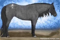 Horse Color:Blue Roan Varnish 
