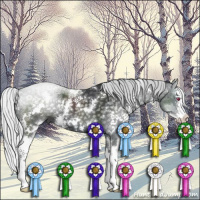 Horse Color:White Spotted Silver Black Chinchilla Splash 