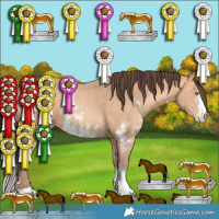 Horse Color:Amber Champagne Sabino