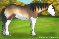 Horse Color:Brown Onyx Splash Rabicano