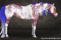 Horse Color:Watercolor White Spotted Bay Ice Onyx 