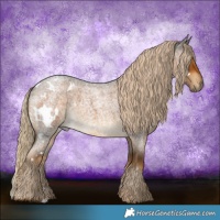 Horse Color:White Spotted Chocolate Palomino Roan 