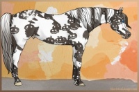 Horse Color:Smoky Black Splash Tobiano Appaloosa 