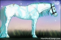 Horse Color:Nacre Thunderstruck Bay Sabino 