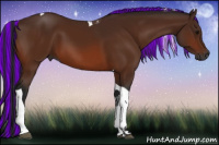 Horse Color:Gray Painted Bay Tobiano 