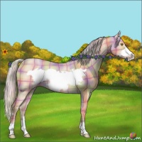 Horse Color:Nacre Plaid  Silver Amber Champagne Frame 