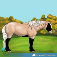 Horse Color:Silver Classic Champagne Splash 
