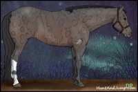 Horse Color:Bay Ice 