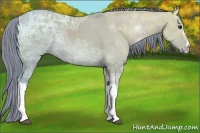 Horse Color:Watercolor Smoky Grullo Ice 