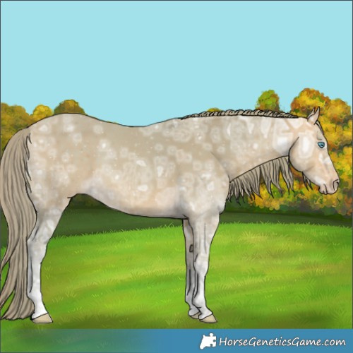 Horse Color:Watercolor Perlino Ice